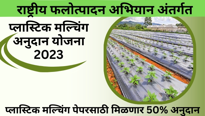 राष्ट्रीय फलोत्पादन अभियान अंतर्गत प्लास्टिक मल्चिंग अनुदान योजना 2023