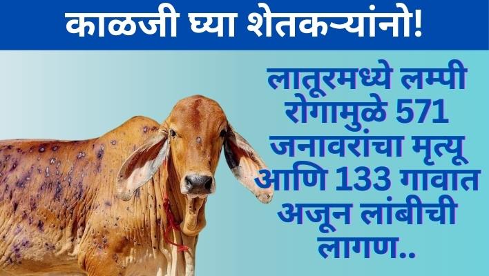 Lumpi Virus Treatment, Lumpi Virus Vaccine, LumpiLumpy Skin Disease Virus, lumpy skin disease, Lumpy virus in maharashtra treatment, Lumpy virus in maharashtra treatment guidelines