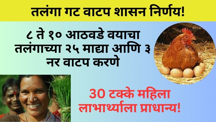 तलंगा गट वाटप